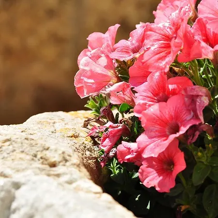 Contrada Borgin Bed & Breakfast *