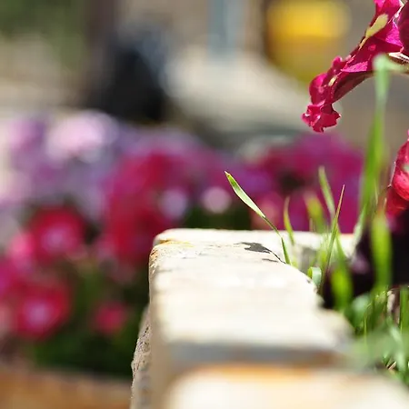 Contrada Borgin Bed & Breakfast Marina Di Pescoluse