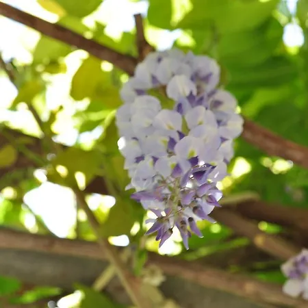 Contrada Borgin Bed & Breakfast