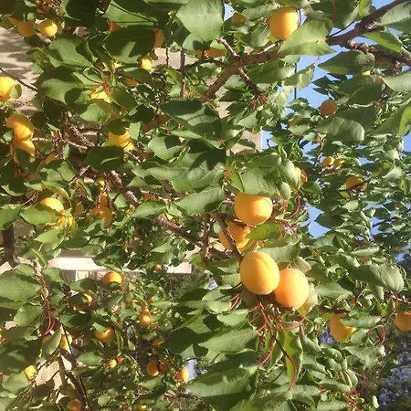 Contrada Borgin Marina Di Pescoluse