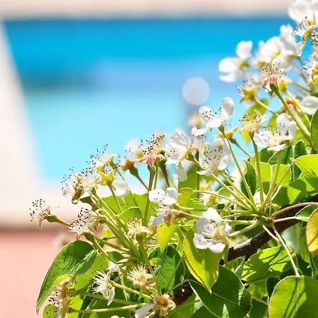 Contrada Borgin Bed & Breakfast