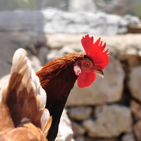 Contrada Borgin Bed & Breakfast Marina Di Pescoluse