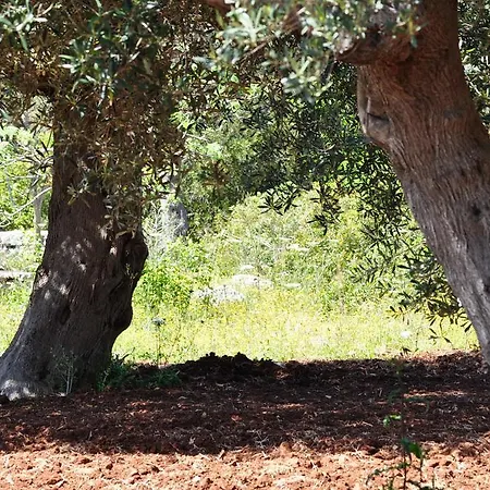Contrada Borgin Marina Di Pescoluse