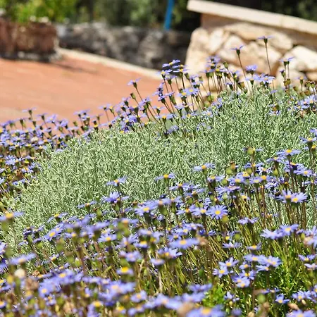 Bed & Breakfast Contrada Borgin Marina Di Pescoluse