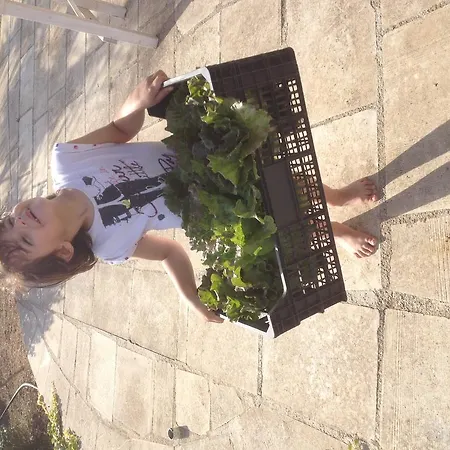 Contrada Borgin Bed & Breakfast 4*