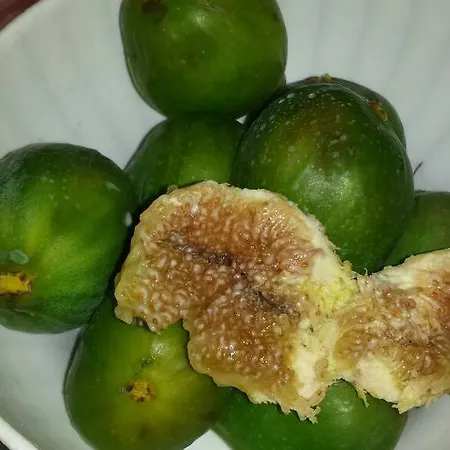 Bed & Breakfast Contrada Borgin Marina Di Pescoluse