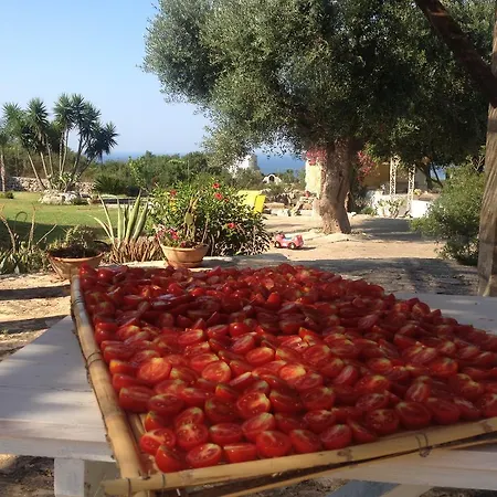 Contrada Borgin 4* Marina Di Pescoluse