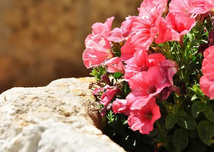 Contrada Borgin Frühstückspension 4*