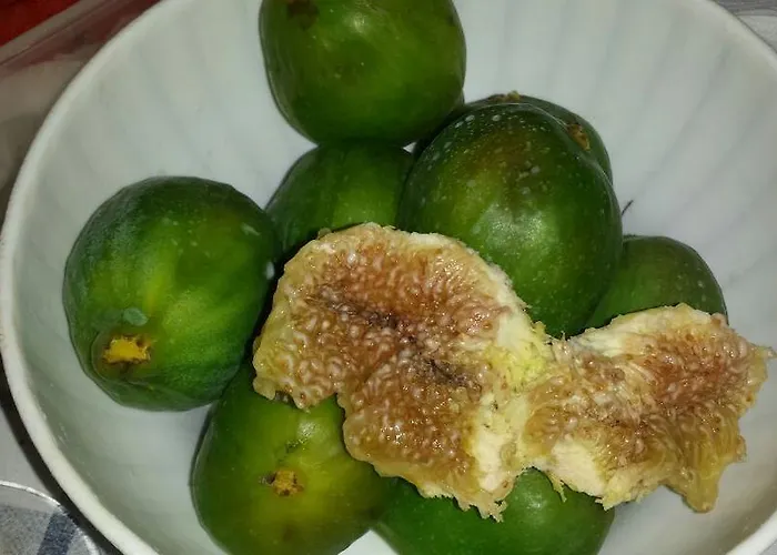 Couette-café Contrada Borgin Marina Di Pescoluse